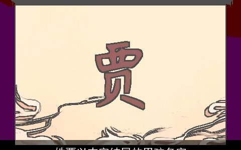 姓贾以志字结尾的男孩名字