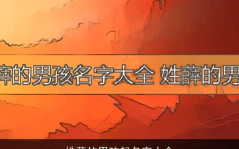 姓薛的男孩起名字大全