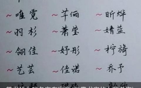 带书的女孩名字有寓意(张带书字的女孩名字)