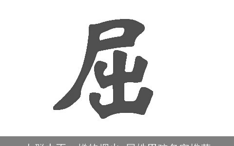 人群中不一样的烟火_屈姓男孩名字推荐