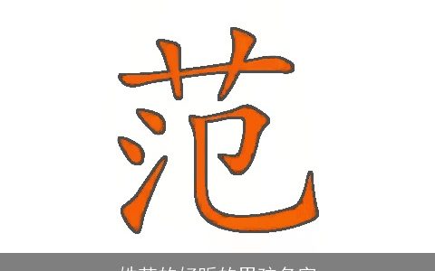 姓范的好听的男孩名字