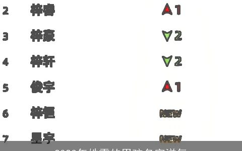 2023年姓雷的男孩名字洋气