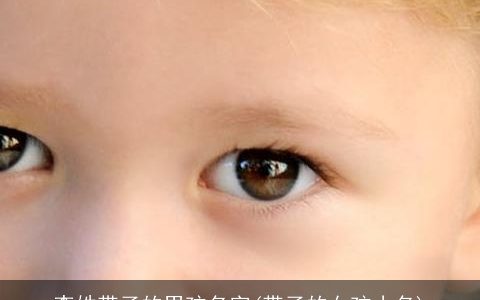 李姓带子的男孩名字(带子的女孩小名)