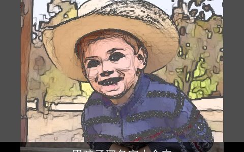 男孩子取名字大全辛