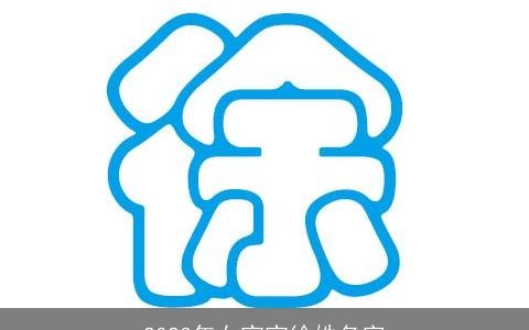 2023年女宝宝徐姓名字