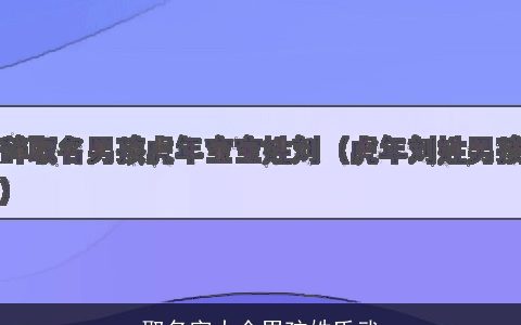 取名字大全男孩姓氏武
