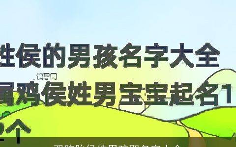 双胞胎侯姓男孩取名字大全