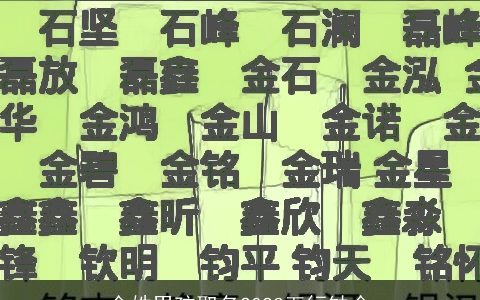 金姓男孩取名2023五行缺金