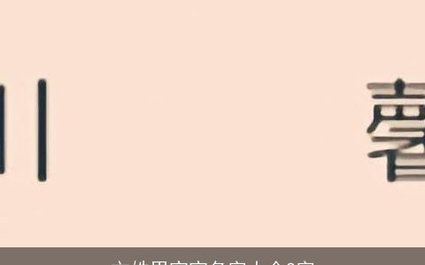 文姓男宝宝名字大全2字