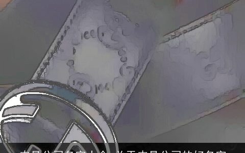 皮具公司名字大全 关于皮具公司的好名字