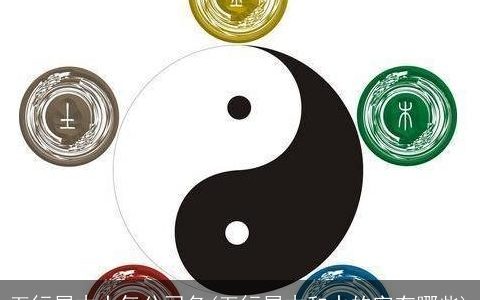 五行属木大气公司名(五行属木和水的字有哪些)