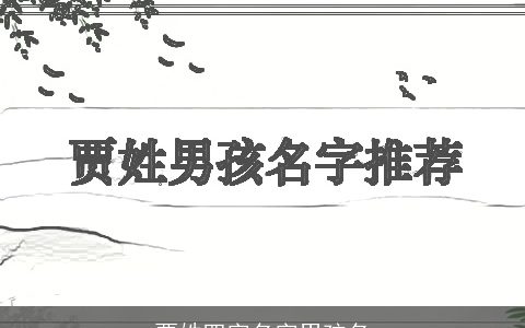 贾姓四字名字男孩名