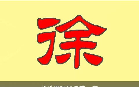 徐姓男孩取名带一字