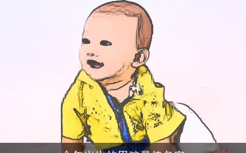 今年出生的男孩最佳名字