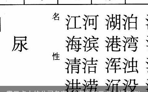带三点水的公司名字(水字旁和三点水取名字)