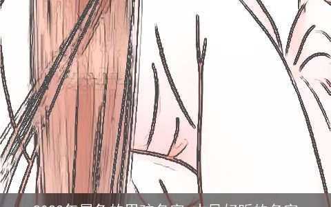 2024年属兔的男孩名字 古风好听的名字