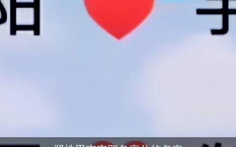 郑姓男宝宝取名高分的名字