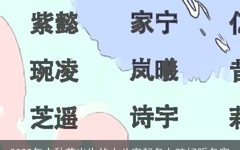 2024年中秋节出生的人八字起名女孩好听名字