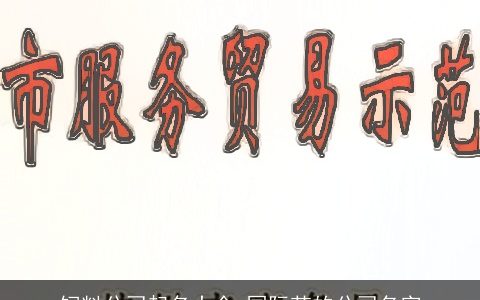 饲料公司起名大全 国际范的公司名字