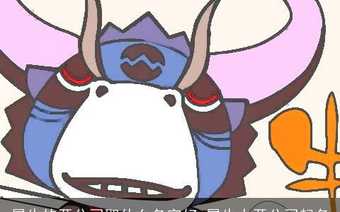 属牛的开公司取什么名字好 属牛人开公司起名