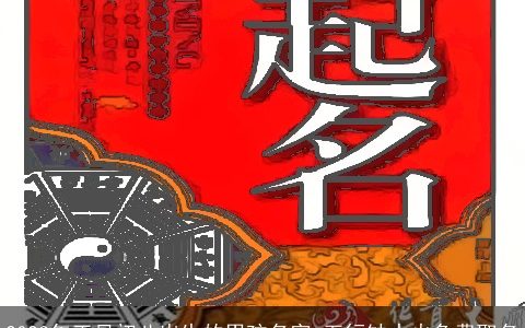 2024年正月初八出生的男孩名字 五行缺水火免费取名