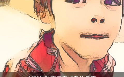 2024男孩霸气有涵养的名字