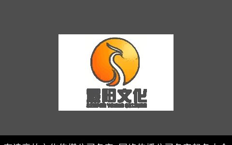 有诗意的文化传媒公司名字 网络传播公司名字起名大全