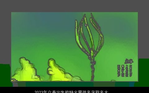 2023年立春出生的缺火男孩名字取名大全宜用字 洋气好听的五行缺火的男孩名字