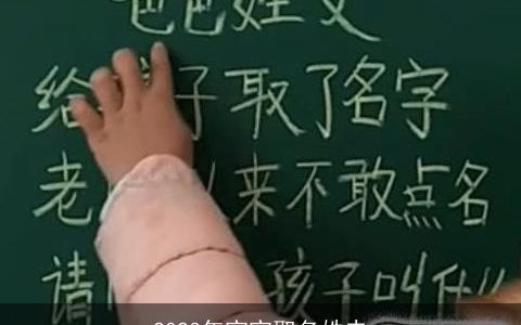 2024年宝宝取名姓史