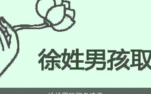 徐姓男孩取名诗意