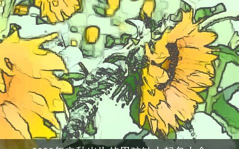 2024年立秋出生的男孩缺水起名大全