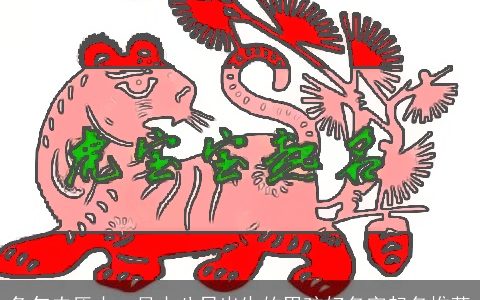 兔年农历十一月十八日出生的男孩好名字起名推荐