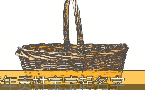 光明美好的贡姓宝宝名字精选