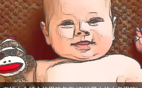 五行土金结合的男孩名字(五行属土的小名男孩)