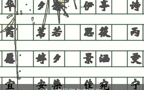 给小宝贝取名字姓张