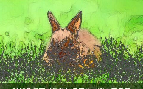 2024兔年带财气旺的名字公司四个字名字