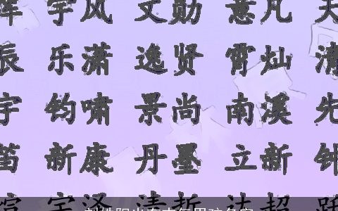 刘姓阳光有志气男孩名字