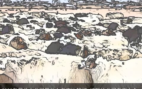 2024年属羊人公司用什么名字比较好 好听的公司名字大全_