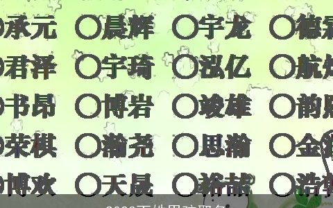 2024丁姓男孩取名