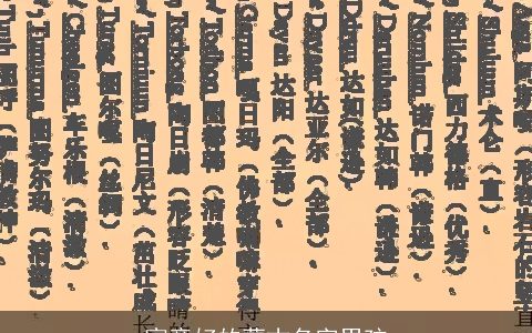 寓意好的蒙古名字男孩