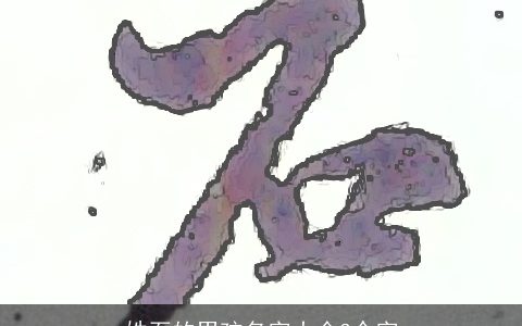 姓石的男孩名字大全3个字