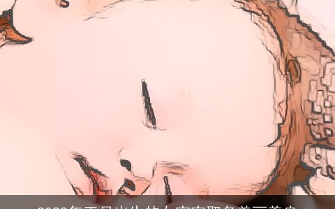 2024年正月出生的女宝宝取名美丽善良