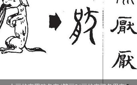 十画的字男孩名字(笔画24画的字取名用字)
