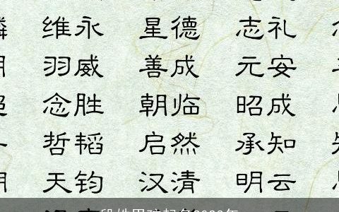 段姓男孩起名2023年