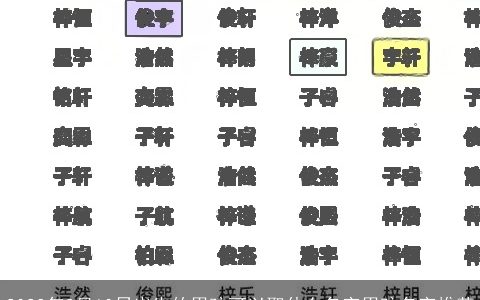 2024年2月10日出生的男孩可以取什么名字男孩名字推荐