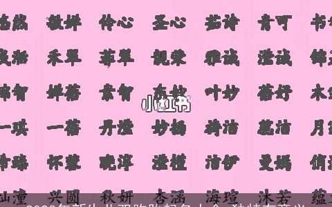 2024年新生儿双胞胎起名大全 独特有意义