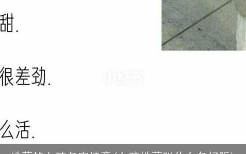 姓蔡的女孩名字诗意(女孩姓蔡叫什么名好听)