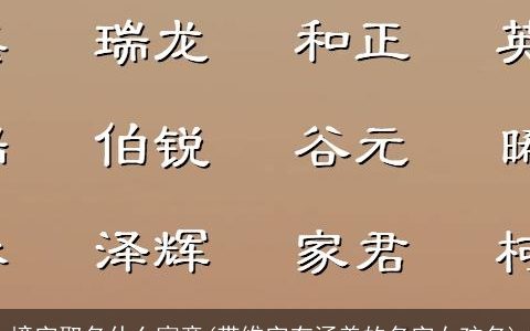 境字取名什么寓意(带维字有涵养的名字女孩名)