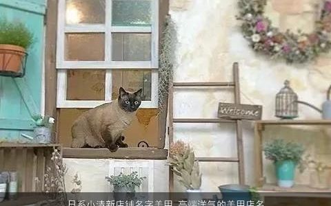 日系小清新店铺名字美甲 高端洋气的美甲店名字大全2023 高端洋气的店铺店名名字精选