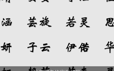 瑜字取名的寓意好吗